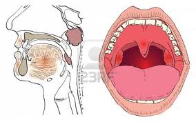 Adenoidi e tonsille